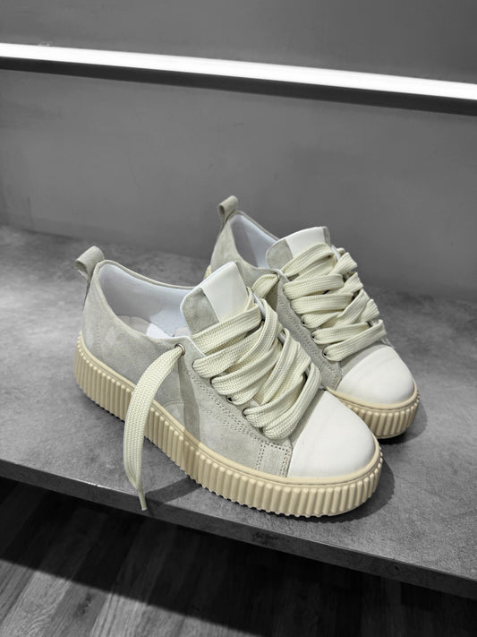 DMS SU BASE R* CAMOSCIO